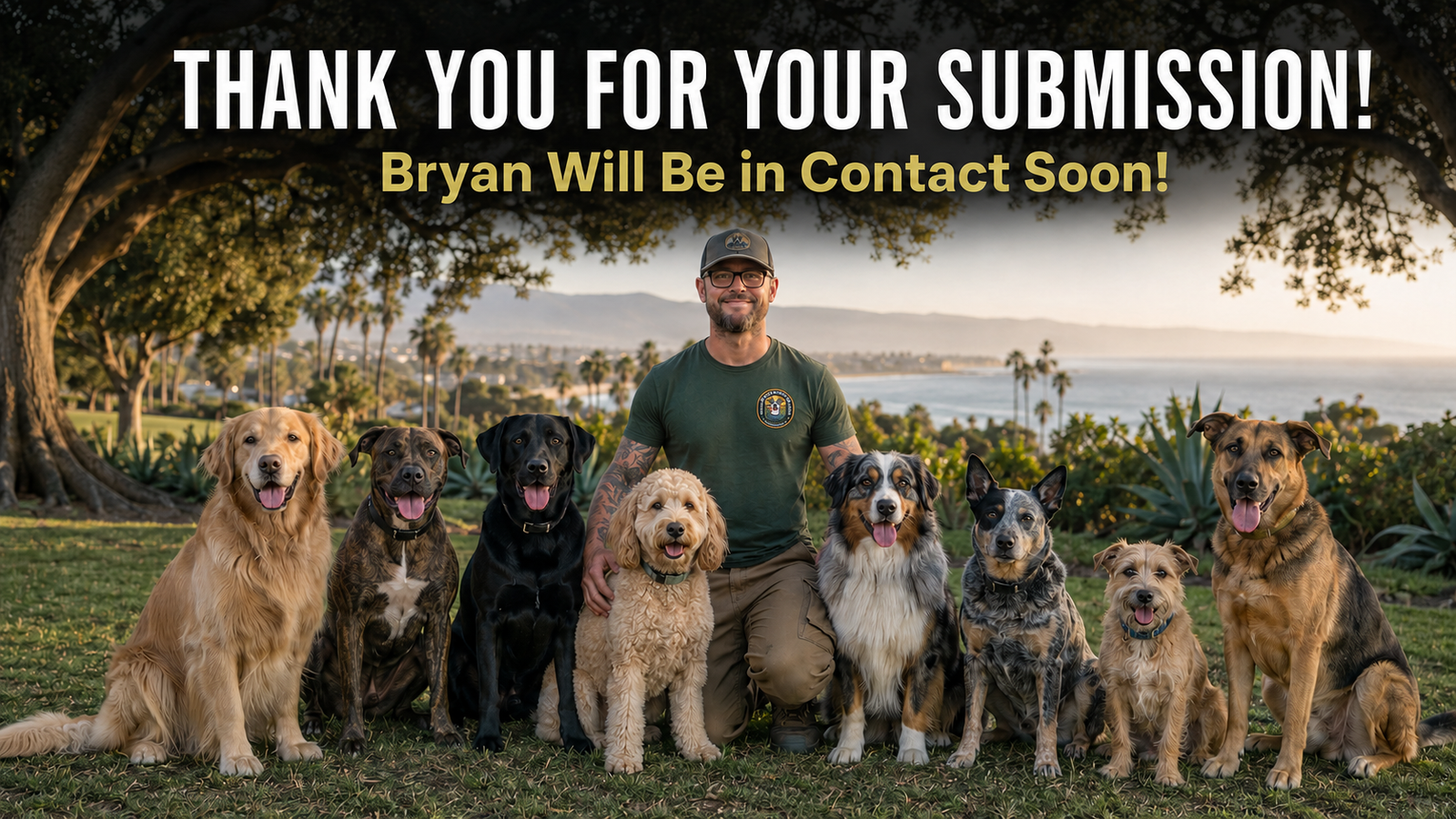 Thank you for your submission. Bryan will be in contact soon.